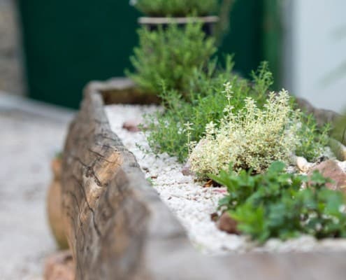 Hammerwirt in Oberalm - Sobald der Frühling da ist, pflanzen wir eigene, frische Kräuter an